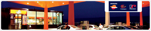 Visitar web de esta empresa